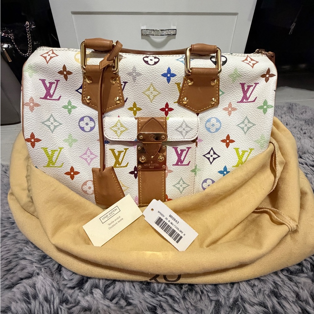 Louis Vuitton Multicolor Speedy 30